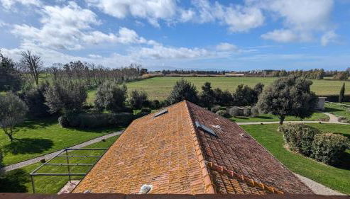 Agriturismo Poderedodici - Foto 3