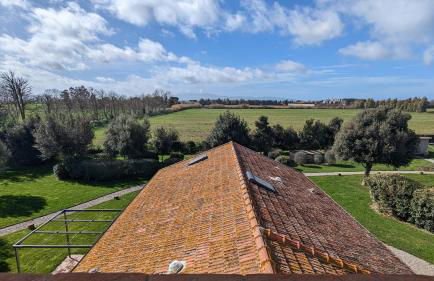 Agriturismo Poderedodici - Foto 3