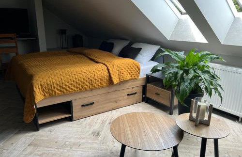 Apartamenty Terminal Charzykowy - Foto 28