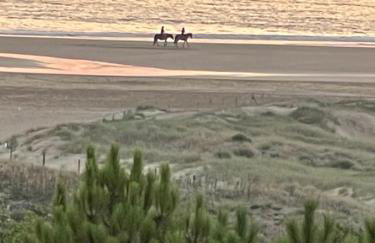 Appartement Studio 35 m2 face à l'Ocean - Foto 7