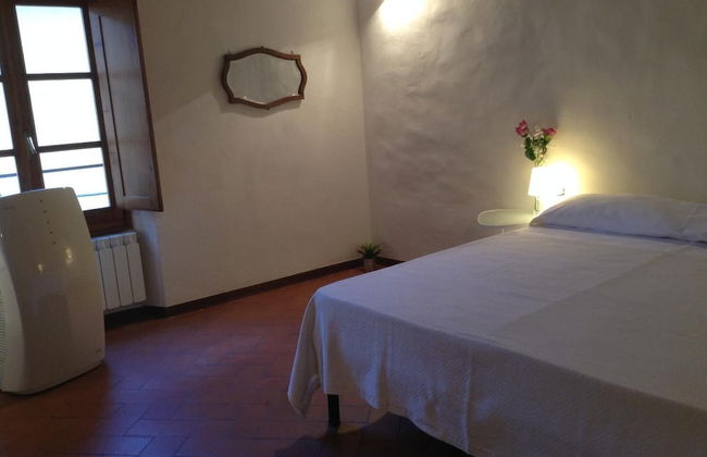 Vellutini Number One - Foto 5