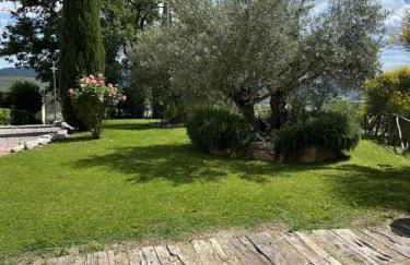 Villa Diletta - Foto 10