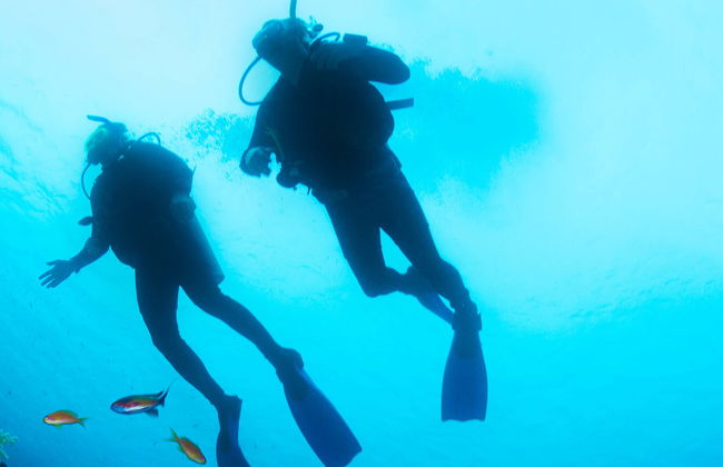 Bautismo de buceo en Cambrils - Foto 1
