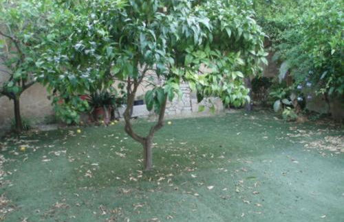 Ca´n Buniferri - Foto 24