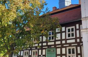 Finnhütte zwischen Wald und See - Foto 25