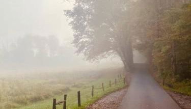 Peaceful Smoky Treehouse| Hot Tub • Hammock • Deck - Foto 5, Other