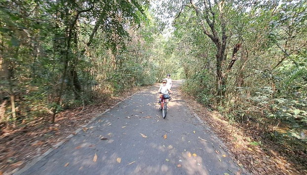 Bambo Bike - Half DayTour - Foto 2