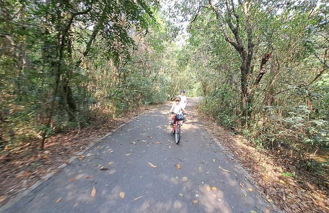 Bambo Bike - Half DayTour - Foto 2