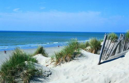 Les Hirondelles B - Foto 14