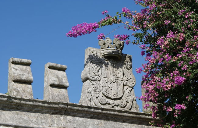 Quinta do Paço D'Anha - Foto 51