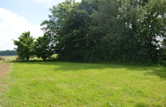 Holiday Home with Meadow View near Forests - Foto 16