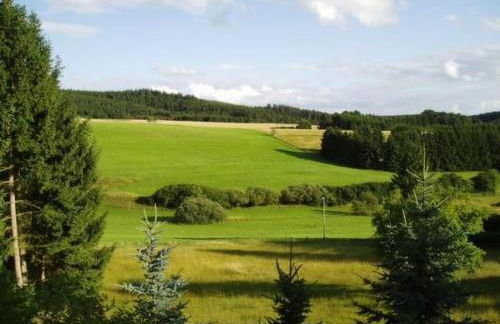 Holiday Home Eifelcottage Rehwiese by Interhome - Foto 12