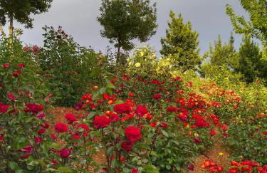 apartamentos turisticos la gitanilla - Foto 37