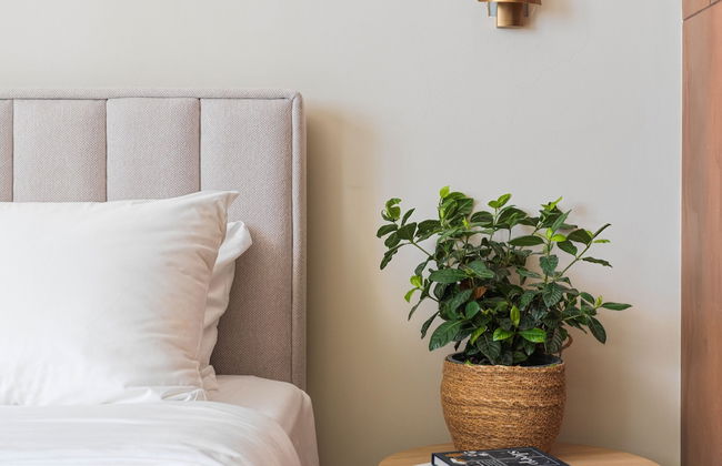 LIV Mackenzie Beach Suites - Foto 16