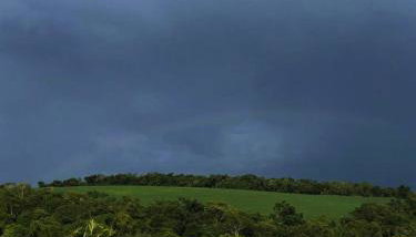 Fazenda Terras de São Pedro - Foto 3, Garden
