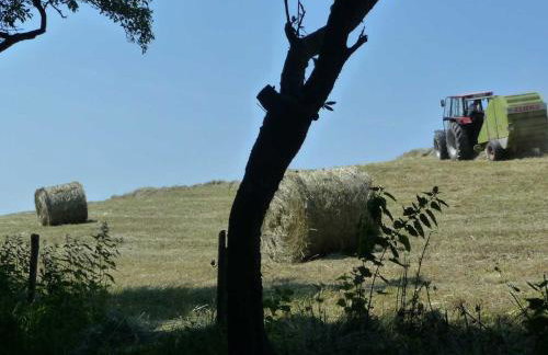 Ferienwohnungen Hansmartihof - Foto 7