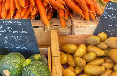 Le Petit Delphia - Photo 35