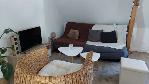 Le 105 - appart-sympa - T2 vue jardin et cave - Larmor-Plage - Foto 3