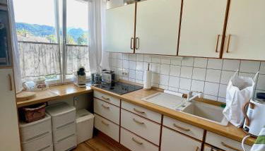 Bergblick I - Foto 4, stove, minibar