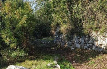 Green Marble Pool Cottage 3 BR in 2 adjoining stone buildings on a 2 acre private land - Foto 40