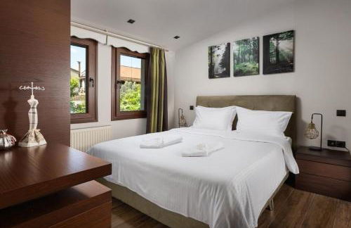 Vintage Suites Trikala - Foto 18