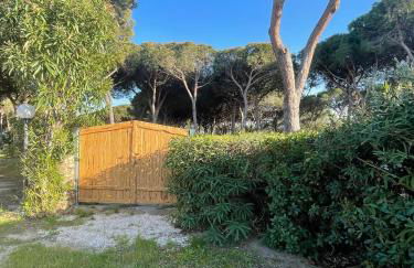 Villa Marghe - Foto 13