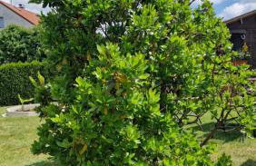 Ferienwohnung Wiesental 89331 Burgau, Wiesentalstrasse 1 - Foto 68