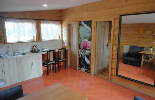 Ośrodek Wypoczynkowy Jaszczurka - Foto 5