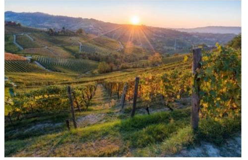 Maison Younesco - Villa indipendente exclusive - Foto 57