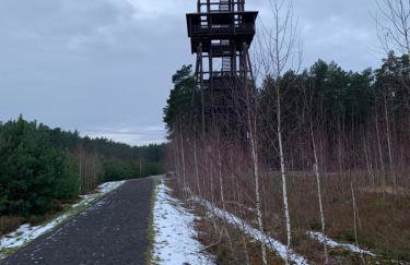 Przy Złotych Piaskach 1 - Foto 44