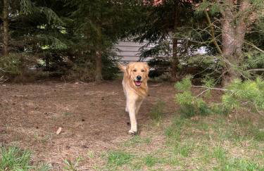 Brzozowy Zakątek - Foto 8