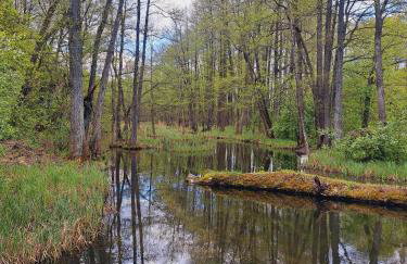 Domki Na Wzgórzu - domek nr 2 - Foto 21