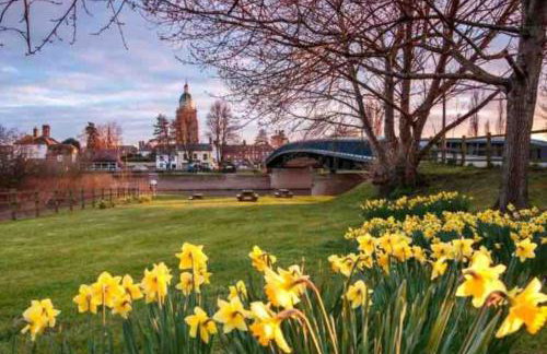 Riverside Cottage with balcony and fishing jetty - Foto 26