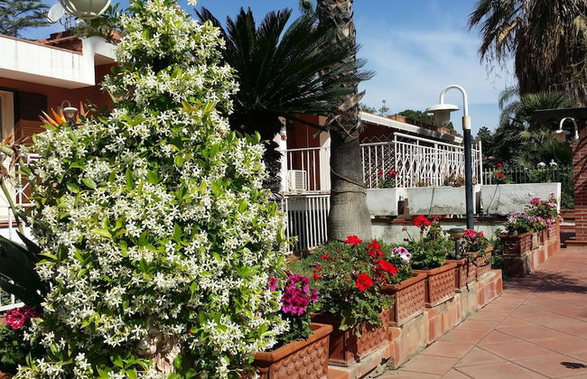 A True Oasis In The City - Foto 6