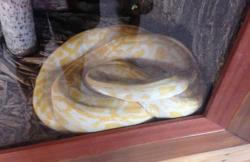 Apartamento Turistico Cigüeña de Arguedas - Foto 57