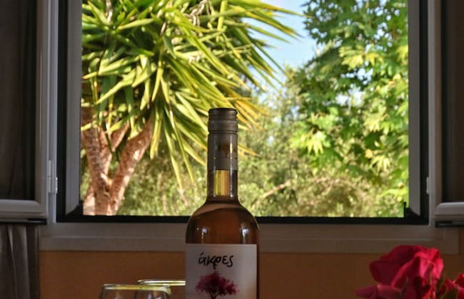 Lagouvardos Apartments - Foto 14