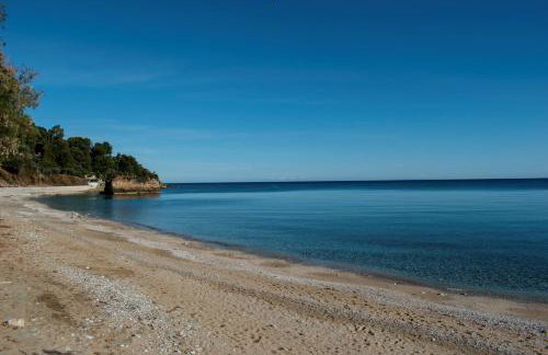 Feel at Home - Photo 33