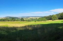 Ferienwohnung Heckenäcker - Foto 27