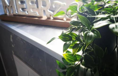 Tiny House Flensburg Luv - Foto 8