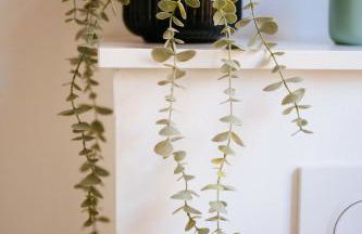 Ferienhaus Visselheide - Foto 47