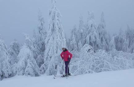 Apartments - Lehmanns Ferienwohnungen - Foto 35