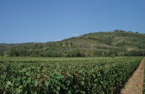 Agriturismo La Fontanella & Glamping - Foto 67