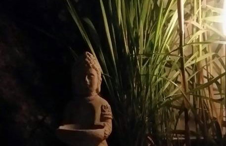 Ferienwohnung am Rathaus - Foto 12