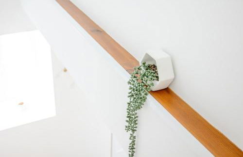 Viriato's House - Photo 21