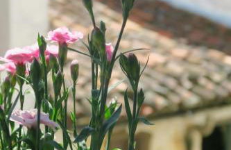 Apartamento Zocailla Suite - Foto 16