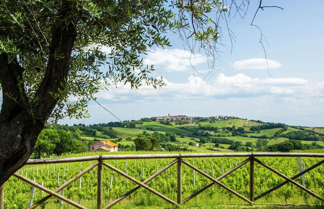 Villa w/ Wine Tours Near Beach - Foto 37