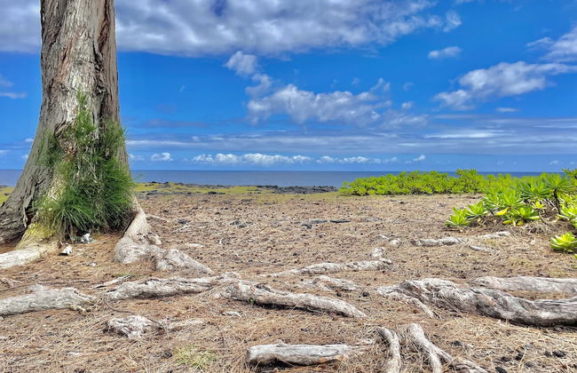 Hale Honu 2 Bedroom Home by RedAwning - Photo 18