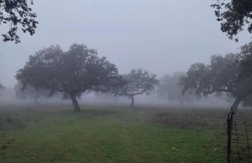 La Siesta VTAR - Foto 25