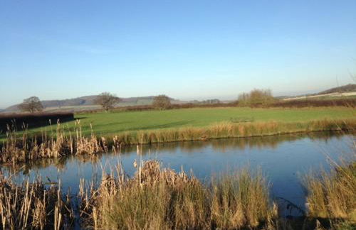 The Freight Wagon - Photo 14