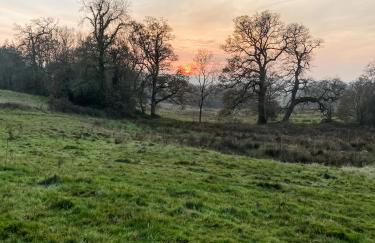 Little Willow Bank - 1 bed luxury apartment between Salisbury and The New Forest - Foto 58